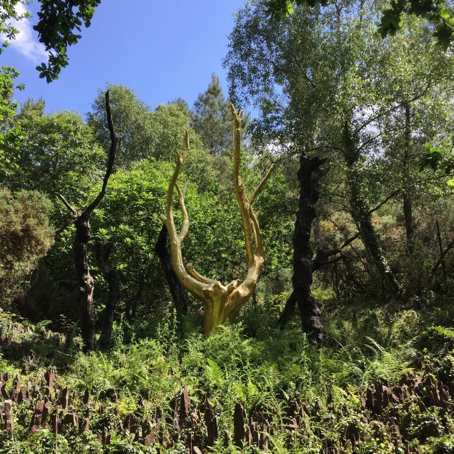 L'Hotie De Broceliande, Au Coeur Des Sites Naturels Et Legendaires Paimpont Luaran gambar
