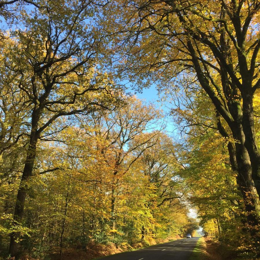 L'Hotie De Broceliande, Au Coeur Des Sites Naturels Et Legendaires Paimpont Luaran gambar