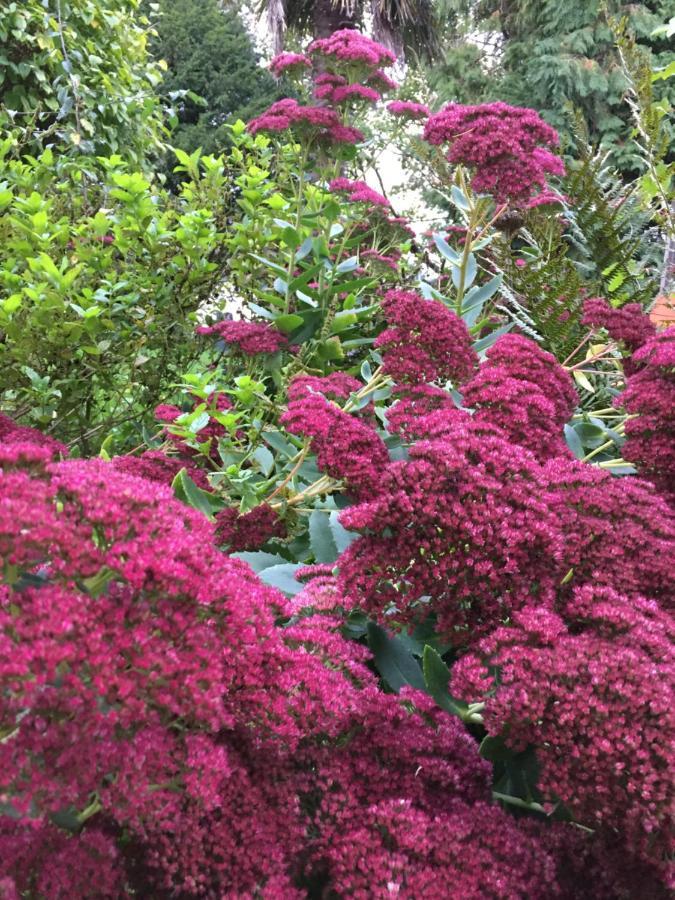 L'Hotie De Broceliande, Au Coeur Des Sites Naturels Et Legendaires Paimpont Luaran gambar