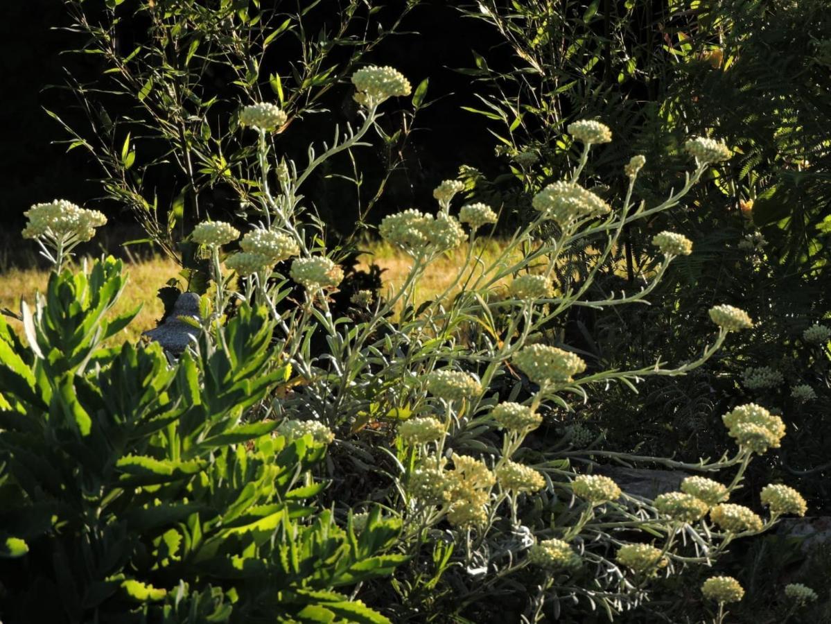 L'Hotie De Broceliande, Au Coeur Des Sites Naturels Et Legendaires Paimpont Luaran gambar
