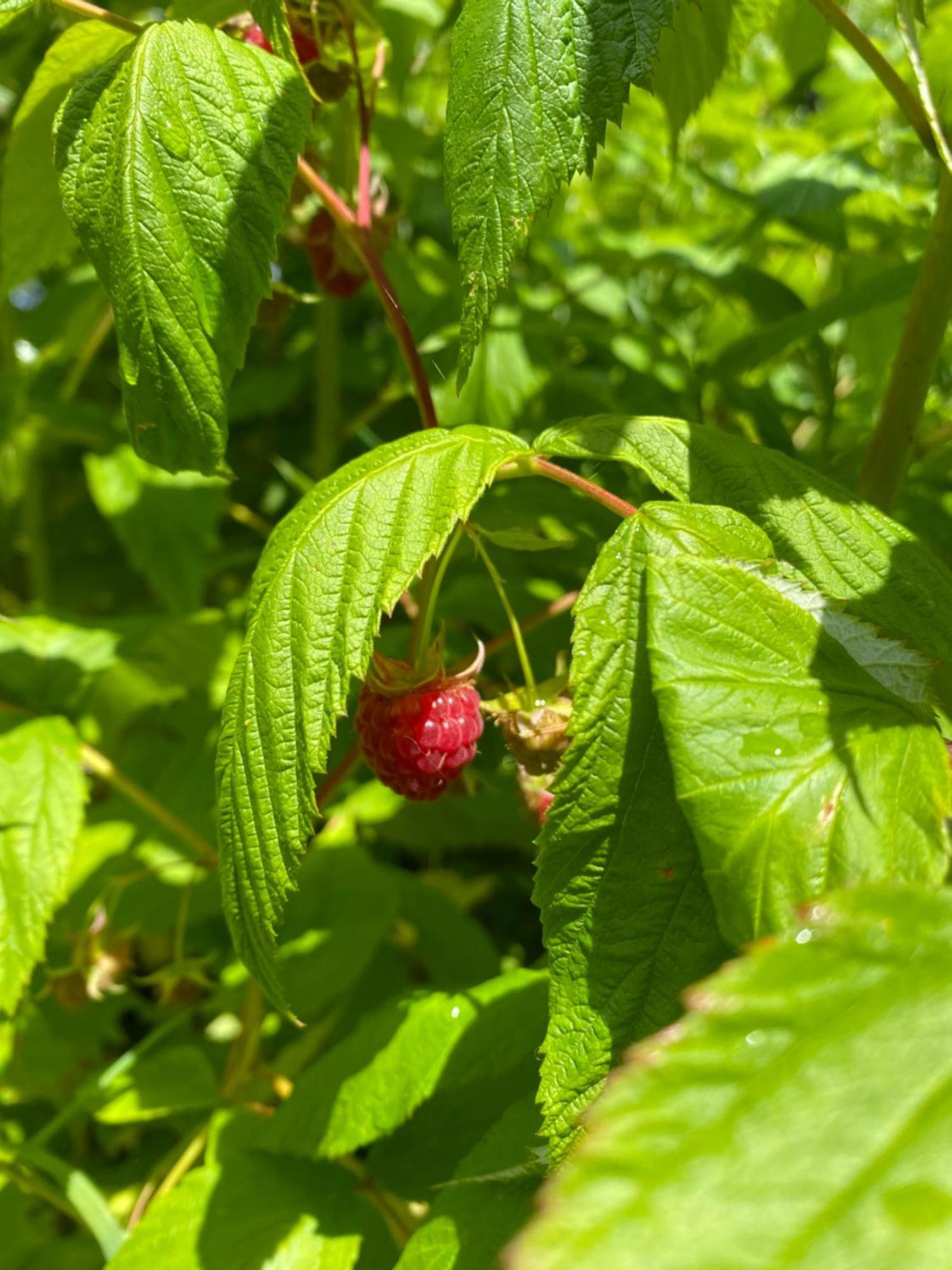 L'Hotie De Broceliande, Au Coeur Des Sites Naturels Et Legendaires Paimpont Luaran gambar