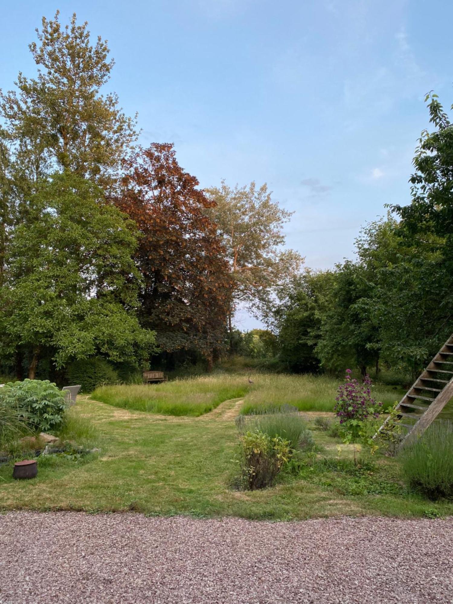 L'Hotie De Broceliande, Au Coeur Des Sites Naturels Et Legendaires Paimpont Luaran gambar