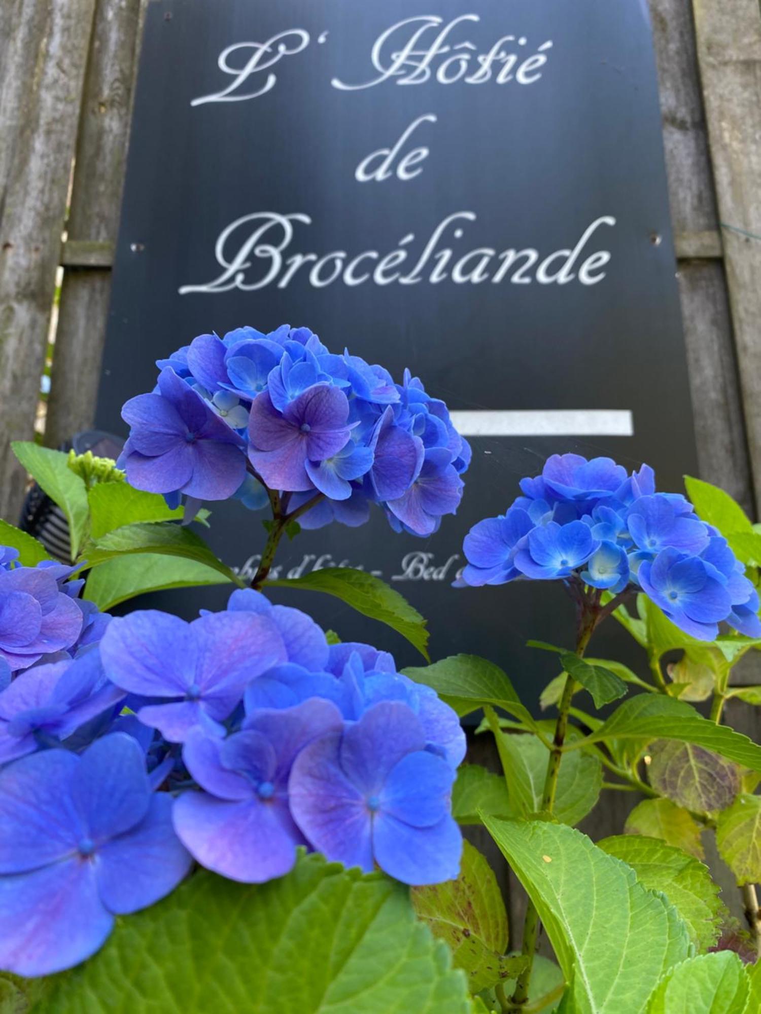 L'Hotie De Broceliande, Au Coeur Des Sites Naturels Et Legendaires Paimpont Luaran gambar