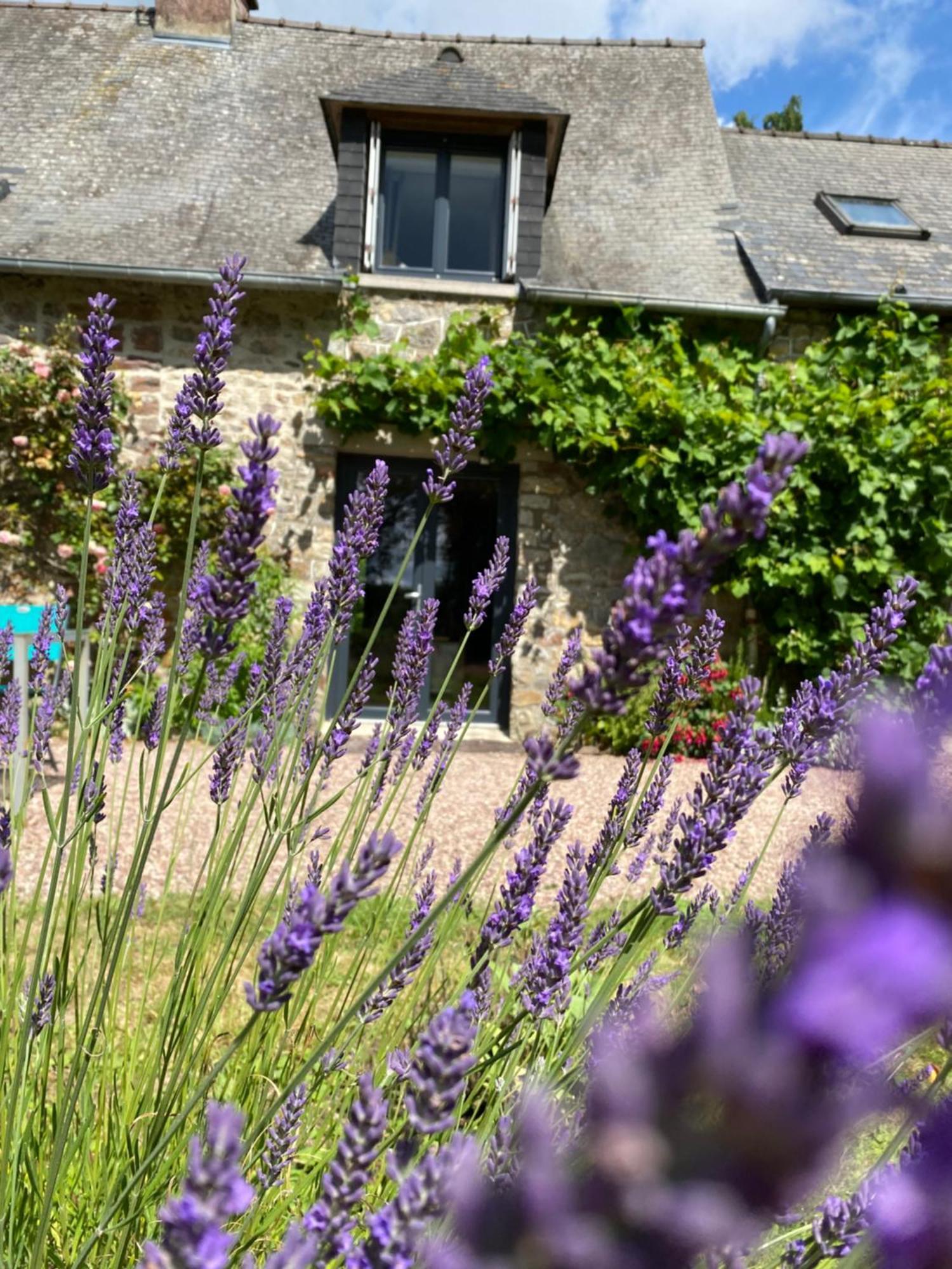 L'Hotie De Broceliande, Au Coeur Des Sites Naturels Et Legendaires Paimpont Luaran gambar