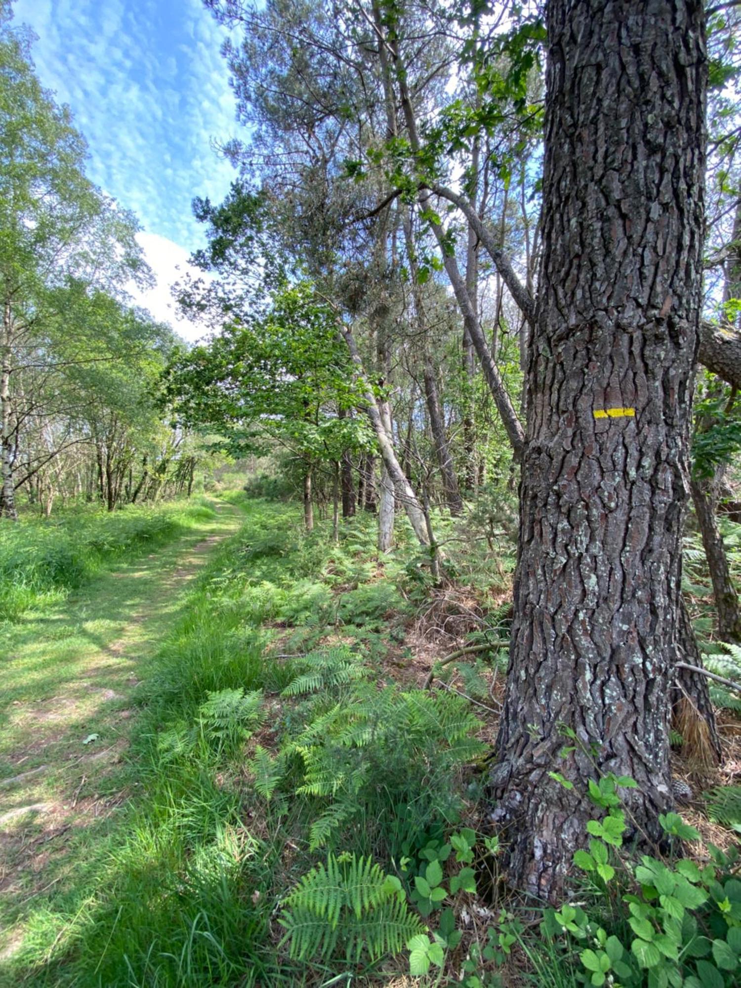 L'Hotie De Broceliande, Au Coeur Des Sites Naturels Et Legendaires Paimpont Luaran gambar