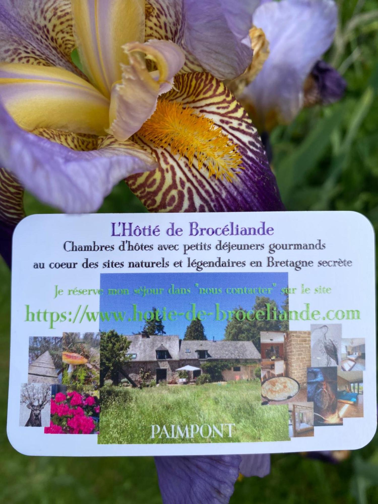 L'Hotie De Broceliande, Au Coeur Des Sites Naturels Et Legendaires Paimpont Luaran gambar